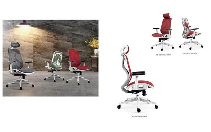 Ergonomic High Back All Mesh Executive Chair